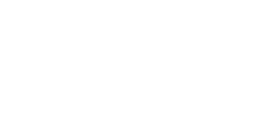 THE STRENGTHS OF THE OUR COMPANY